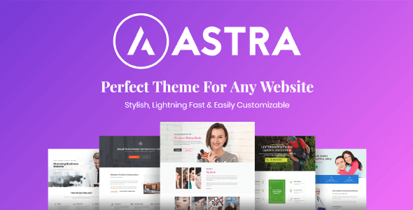 Astra Pro 4.11.0 – Perfect Theme For Any Website + Pro Addon 4.11.0 Details | Activated